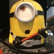 Colonel