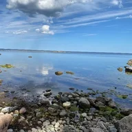 Teelicht