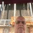 Kurt